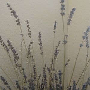 Meet your Posher, Neda